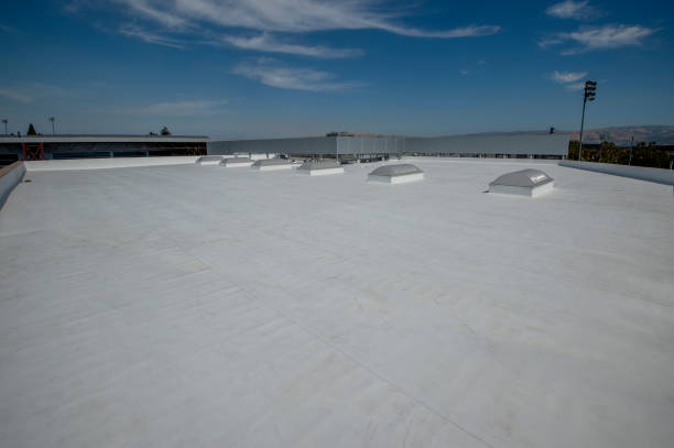 Best Roof Maintenance and Cleaning  in Vallejo, CA