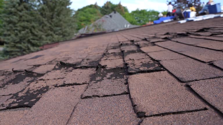 Best Commercial Roofing Services  in Vallejo, CA