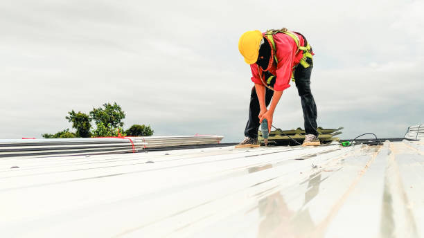 Best Solar Panel Roofing Installation  in Vallejo, CA