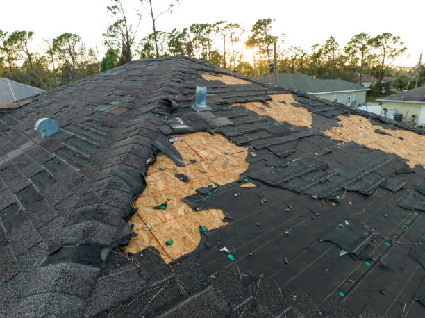 Best Gutter Replacement  in Vallejo, CA